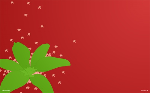 索尼中画幅相机镜头