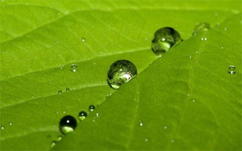 下载今日水印相机带时间地点,水印相机怎么用?